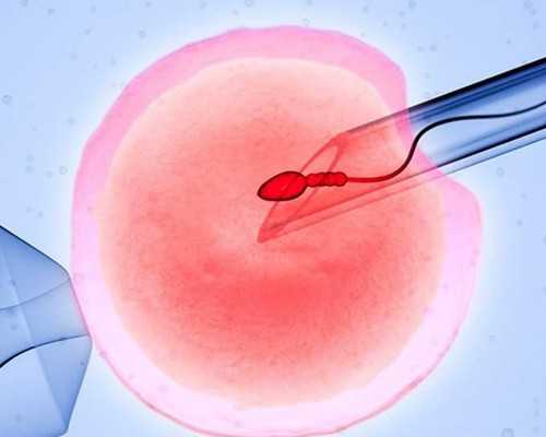 单人最高获185万元，代妈这项赛事明日开幕！｜早安，龙岗